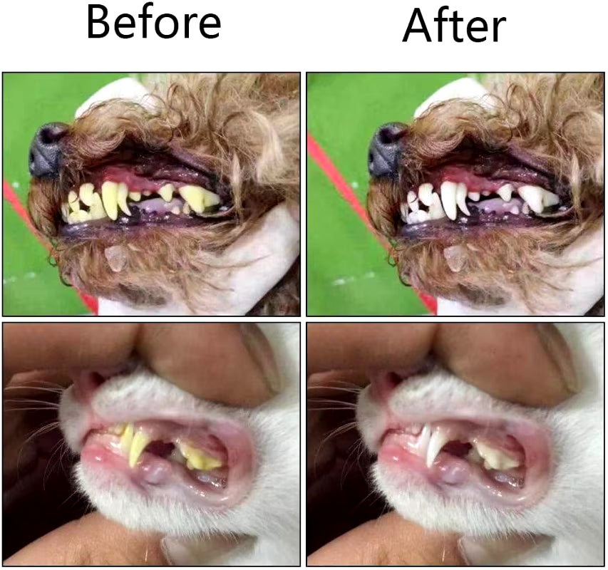 Calming and Effective Pet Dental Brush