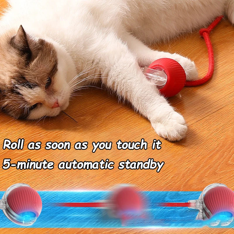 Automatic Rolling Interactive Cat Toy with Tail