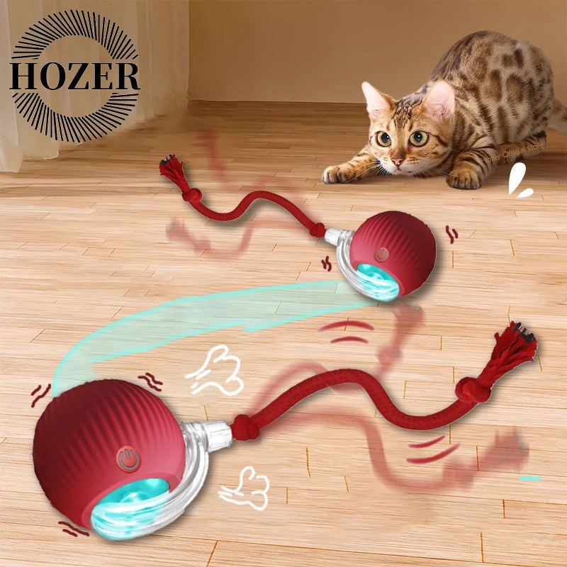 Automatic Rolling Interactive Cat Toy with Tail