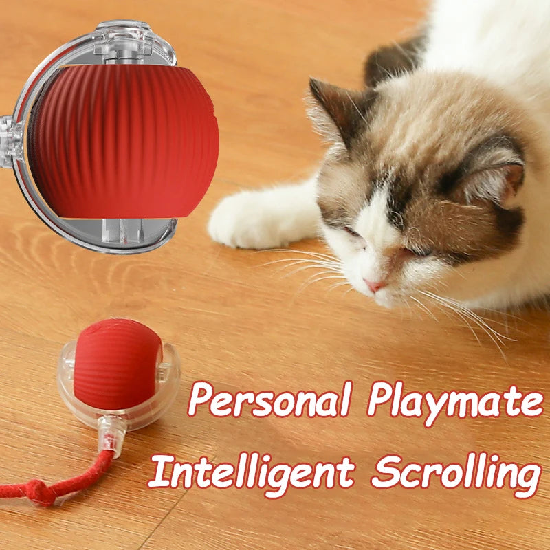 Automatic Rolling Interactive Cat Toy with Tail