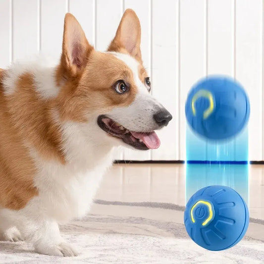 Automatic Moving Ball For Dogs and Cats