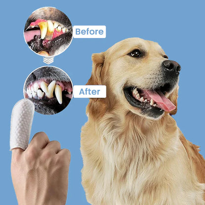 Calming and Effective Pet Dental Brush